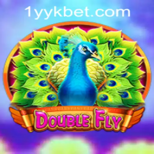 Exploring DoubleFly: A Comprehensive Guide